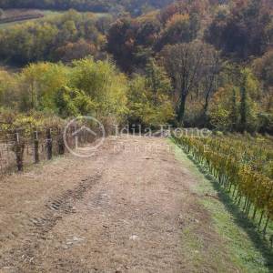 Stubica donja/LEPA VES/vikedica sa 1187m2 zemljišta