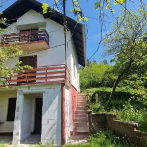 Sveti Ivan Zelina, Blaškovec, kuća nadomak Zagreba, 54m2+ 2200m2 okućnice
