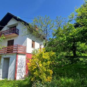 Sveti Ivan Zelina, Blaškovec, kuća nadomak Zagreba, 54m2+ 2200m2 okućnice