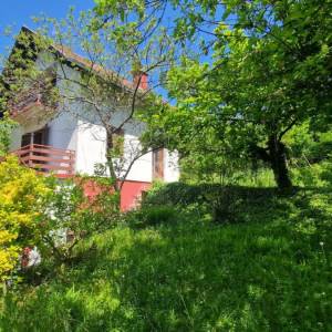 Sveti Ivan Zelina, Blaškovec, kuća nadomak Zagreba, 54m2+ 2200m2 okućnice