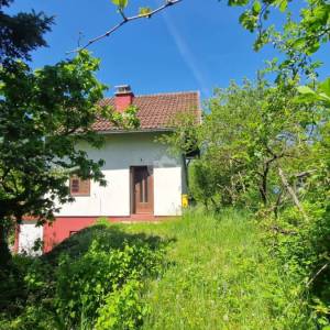 Sveti Ivan Zelina, Blaškovec, kuća nadomak Zagreba, 54m2+ 2200m2 okućnice
