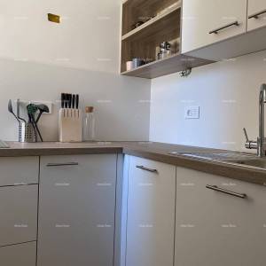 Umag, Crveni Vrh, kuća s tri odvojena apartmana