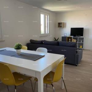 Umag, Crveni Vrh, kuća s tri odvojena apartmana