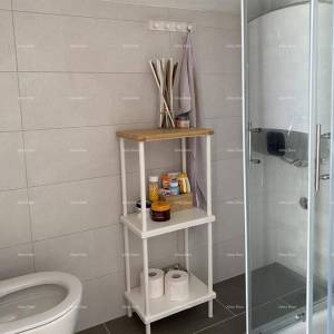 Umag, Crveni Vrh, kuća s tri odvojena apartmana