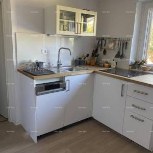 Umag, Crveni Vrh, kuća s tri odvojena apartmana