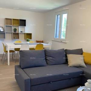 Umag, Crveni Vrh, kuća s tri odvojena apartmana