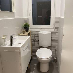 Umag, Crveni Vrh, kuća s tri odvojena apartmana