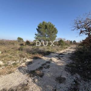 ZADAR, CRNO – Pravilna parcela 740 m² s pristupnim putem!