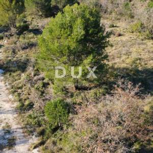 ZADAR, CRNO – Pravilna parcela 740 m² s pristupnim putem!