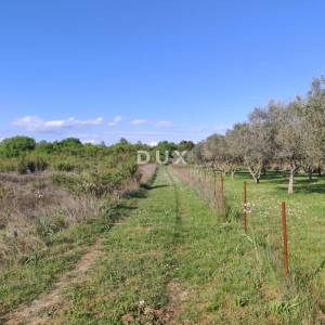 ZADAR, MURVICA - Poljoprivredno zemljište na mirnoj lokaciji 1144 m2
