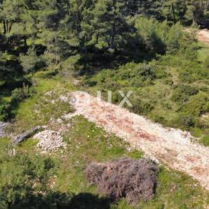 ZADAR, NOVI BOKANJAC - Zemljište u građevinskoj zoni 