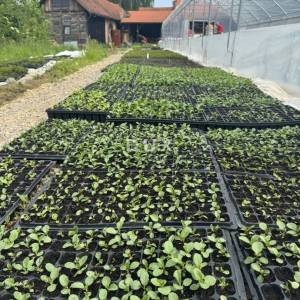 ZAGREB OKOLICA (GRADEC) - Farma bilja s turističkim potencijalom na više od 11 ha