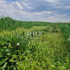 ZAGREB OKOLICA (GRADEC) - Farma bilja s turističkim potencijalom na više od 11 ha