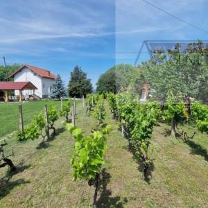 Baranja Batina vikend kuća 35 m2 legalizirana! - povoljno