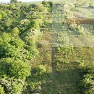 Baranja Draž planina vikendica 100 m2 na parceli od 6400 m2