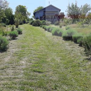 Baranja Draž planina vikendica 100 m2 na parceli od 6400 m2
