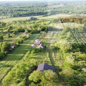 Baranja Draž planina vikendica 100 m2 na parceli od 6400 m2