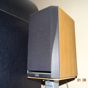 Bowers & Wilkins DM302