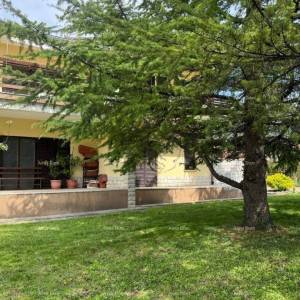 BUZET, PROSTRANA SAMOSTOJEĆA KUĆA S VELIKOM OKUĆNICOM I POGLEDOM NA MORE