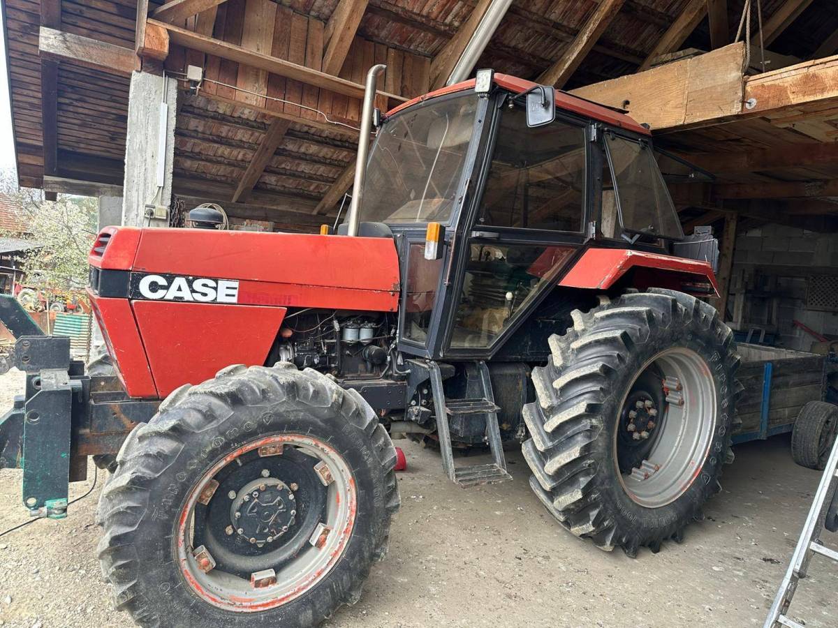 case 1494