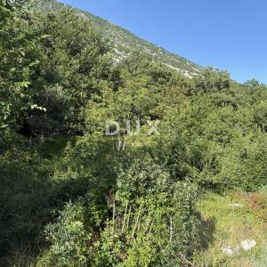 CRIKVENICA, TRIBALJ - Poljoprivredno zemljište blizu kuća