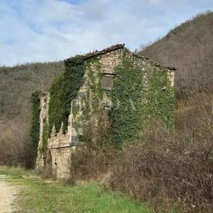 Dvije kamene kuće 240m2+58m2 za kompletnu adaptaciju sa zemljištem 5300m2,Buzet okolica