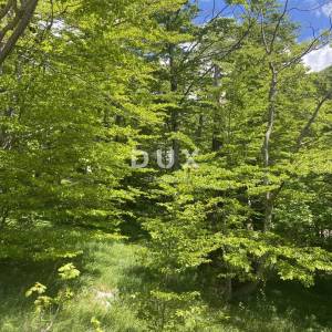 GORSKI KOTAR, PLATAK - kuća u blizini skijališta