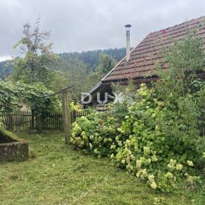 GORSKI KOTAR, VRBOVSKO, kuća s velikom okućnicom