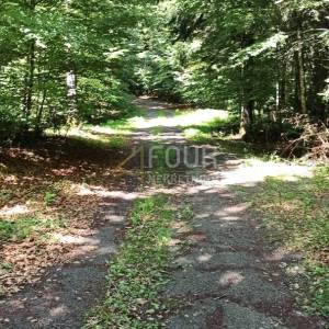 Gorski kotar, Vrbovsko - okolica, zemljište 17.835m2
