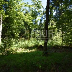 Gorski kotar, Vrbovsko - okolica, zemljište 17.835m2