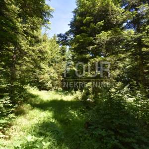 Gorski kotar, Vrbovsko - okolica, zemljište 13.488m2