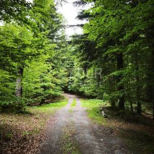 Gorski kotar, Vrbovsko - okolica, poljoprivredno zemljište, 31.323m2