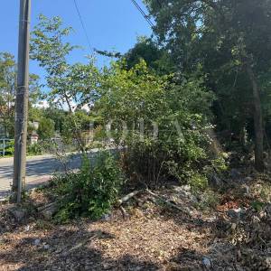 Građevinsko zemljište 1.334 m² s pogledom na more – Matulji