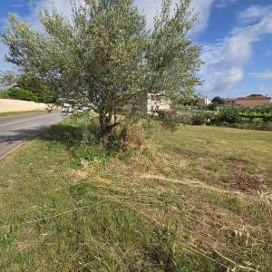 Građevinsko zemljište 1.412 m², Šegotići