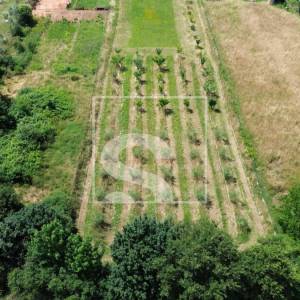 Građevinsko zemljište 2050m2, Loborika, 75x27m2