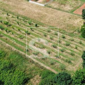 Građevinsko zemljište 2050m2, Loborika, 75x27m2