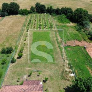 Građevinsko zemljište 2050m2, Loborika, 75x27m2
