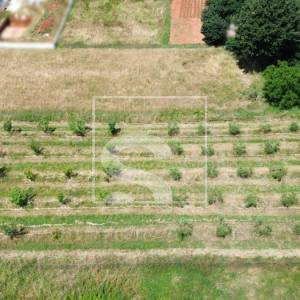 Građevinsko zemljište 2050m2, Loborika, 75x27m2