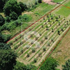Građevinsko zemljište 2050m2, Loborika, 75x27m2