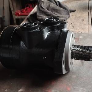 Hidromotor