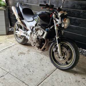 Honda Hornet 600