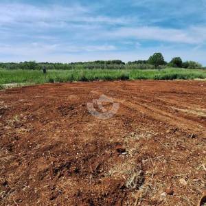 Hrvatska, Istra, Brtonigla Fernetići  - poljoprivredno zemljište 892 m²