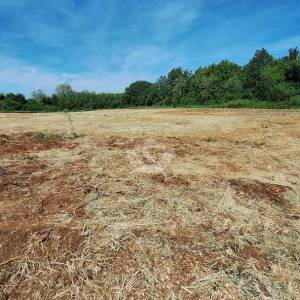 Hrvatska, Istra, Brtonigla Fernetići  - poljoprivredno zemljište 893 m²