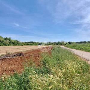 Hrvatska, Istra, Brtonigla Fernetići  - poljoprivredno zemljište 893 m²