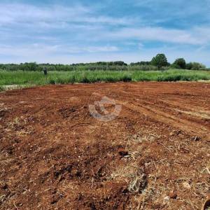 Hrvatska, Istra, Brtonigla Fernetići  - poljoprivredno zemljište 881 m²