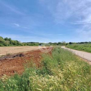Hrvatska, Istra, Brtonigla Fernetići  - poljoprivredno zemljište 881 m²