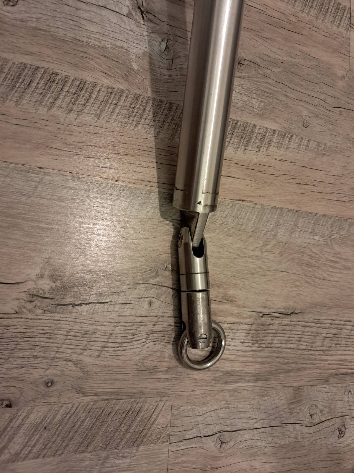 Inox sidro mačak
