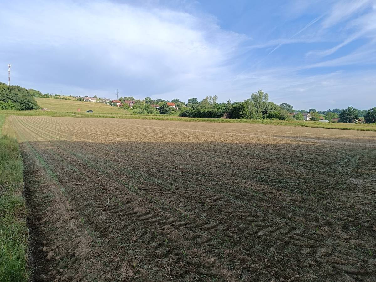 Investicijsko zemljište 16601 m2- IS7 energetska zona sunčana elektran