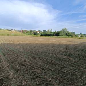 Investicijsko zemljište 16601 m2- IS7 energetska zona sunčana elektran