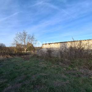 ISTRA, BALE - Građevinsko zemljište u okolici 